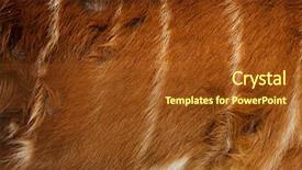  Presentation with forest in africa - PPT theme having forest sitatunga tragelaphus spekii gratus background and a tawny brown colored foreground