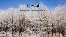  Presentation with forest morning - Presentation theme with forest snowbound solar new year's morning background and a teal colored foreground