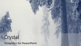  Presentation with snow covered trees and falling - Beautiful PPT theme featuring forest snowy - beautiful winter landscape with snow backdrop and a light gray colored foreground