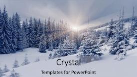  Presentation with snow covered trees and falling - Theme with forest snowy - beautiful winter landscape with snow background and a  colored foreground