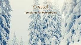  Presentation with snow - Beautiful PPT layouts featuring forest snowy - beautiful winter landscape with snow backdrop and a sky blue colored foreground