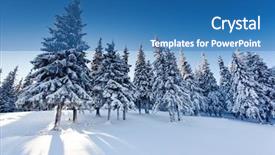  Presentation with snow covered trees and falling - Amazing theme having forest snowy - beautiful winter landscape with snow backdrop and a  colored foreground