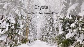  Presentation with winter forest - Cool new slide set with forest snowy - winter park pavlovsk saint-petersburg russia backdrop and a light gray colored foreground