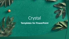  Presentation with botanical - Audience pleasing presentation consisting of forest-sorbus-and-leaves-top backdrop and a ocean colored foreground