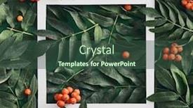  Presentation with fall leaves border - Beautiful presentation design featuring forest-sorbus-and-leaves-top backdrop and a ocean colored foreground