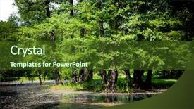  Presentation with swamp - Theme with forest stranded - swamp background and a tawny brown colored foreground