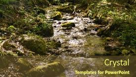  Presentation with forest stream - Slides enhanced with forest-stream-murmurs-merrily background and a tawny brown colored foreground