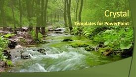  Presentation with forest stream - Colorful theme enhanced with forest stream running over mossy backdrop and a tawny brown colored foreground