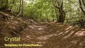  Presentation with bosnia - Presentation design consisting of forest-trail-in-beautiful-bosnian background and a tawny brown colored foreground