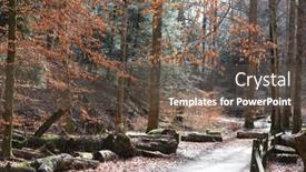  Presentation with trail - PPT theme with forest-trail-in-late-autumn background and a tawny brown colored foreground