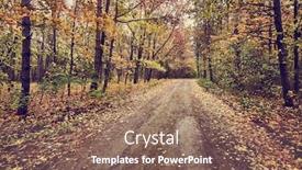  Presentation with woods - Beautiful presentation design featuring forest-trail-path-with-colorful backdrop and a violet colored foreground