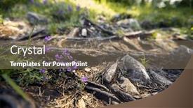  Presentation with purple flowers - PPT theme consisting of forest-trail-with-purple-flowers background and a  colored foreground