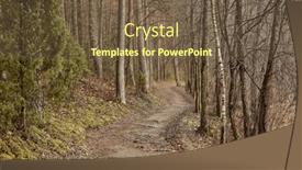  Presentation with pine trees - Slides with forest-trail-with-tall-pine and a tawny brown colored foreground