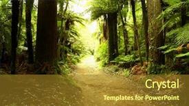  Presentation with jungle - Amazing slide set having forest trail backdrop and a tawny brown colored foreground