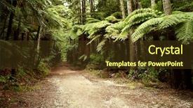  Presentation with pathway - Audience pleasing PPT theme consisting of forest trail backdrop and a  colored foreground