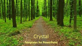  Presentation with green-nature - PPT theme with forest-trees-nature-green-wood and a tawny brown colored foreground