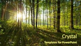  Presentation with tree sky trees green - PPT theme having forest trees nature green wood background and a tawny brown colored foreground