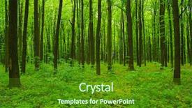  Presentation with green nature - PPT theme consisting of forest trees nature green wood background and a tawny brown colored foreground