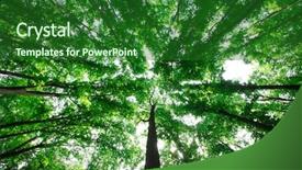  Presentation with tree sky trees green - Beautiful slide deck featuring forest trees nature green wood backdrop and a  colored foreground