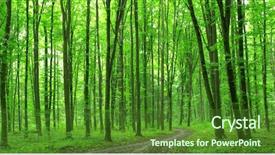  Presentation with tree sky trees green - PPT theme enhanced with forest trees nature green wood background and a forest green colored foreground
