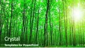  Presentation with tree sky trees green - Presentation design consisting of forest trees nature green wood background and a forest green colored foreground