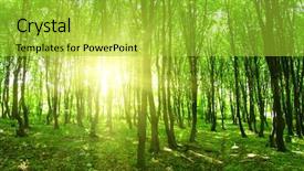  Presentation with green nature - Audience pleasing presentation design consisting of forest trees nature green wood backdrop and a yellow colored foreground