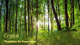  Presentation with green nature - PPT theme with forest-trees-nature-green-wood background and a tawny brown colored foreground