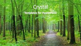  Presentation with paths - Amazing PPT theme having forest trees nature green wood backdrop and a tawny brown colored foreground