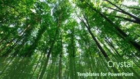  Presentation with green nature - Slides enhanced with forest-trees-nature-green-wood background and a forest green colored foreground