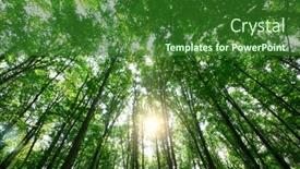  Presentation with green nature - PPT theme featuring forest-trees-nature-green-wood background and a forest green colored foreground