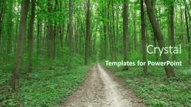  Presentation with sunlight - 