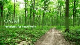  Presentation with sunlight - 