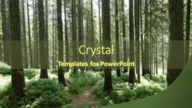  Presentation with sunlight - 