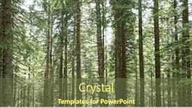  Presentation with sunlight - 