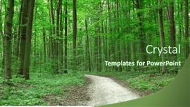  Presentation with sunlight - 