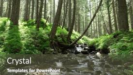  Presentation with sunlight - 