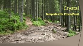  Presentation with sunlight - Theme having forest-trees-nature-green-wood background and a tawny brown colored foreground