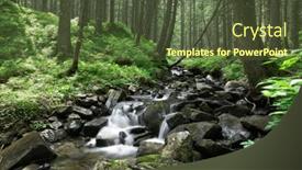  Presentation with sunlight - Slides with forest-trees-nature-green-wood background and a tawny brown colored foreground