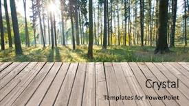  Presentation with divine - Amazing slide deck having forest trees nature green wood backdrop and a mint green colored foreground