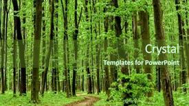  Presentation with green nature - Slide deck having forest trees nature green wood background and a tawny brown colored foreground