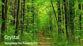  Presentation with tree sky trees green - Audience pleasing slide set consisting of forest trees nature green wood backdrop and a tawny brown colored foreground