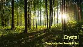  Presentation with green nature - Cool new presentation design with forest trees nature green wood backdrop and a tawny brown colored foreground
