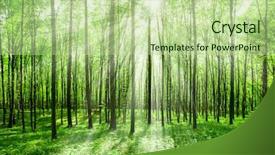  Presentation with tree sky trees green - Slide set with forest trees nature green wood background and a mint green colored foreground