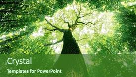  Presentation with forest - Colorful presentation theme enhanced with forest trees nature green wood backdrop and a forest green colored foreground