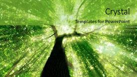  Presentation with green nature - Colorful PPT layouts enhanced with forest trees nature green wood backdrop and a yellow colored foreground