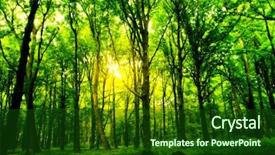  Presentation with green nature - Amazing presentation having forest trees nature green wood backdrop and a forest green colored foreground
