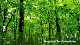  Presentation with green nature - Beautiful PPT theme featuring forest trees nature green wood backdrop and a forest green colored foreground