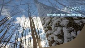  Presentation with winter forest - Presentation theme enhanced with forest-trees-nature-snow-wood background and a ocean colored foreground