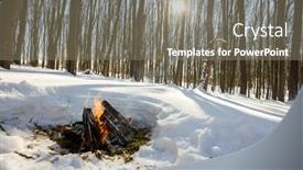  Presentation with winter forest - Presentation theme consisting of forest-trees-nature-snow-wood background and a gray colored foreground