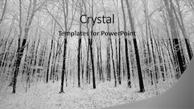  Presentation with winter forest - Amazing PPT theme having forest trees nature snow wood backdrop and a light gray colored foreground